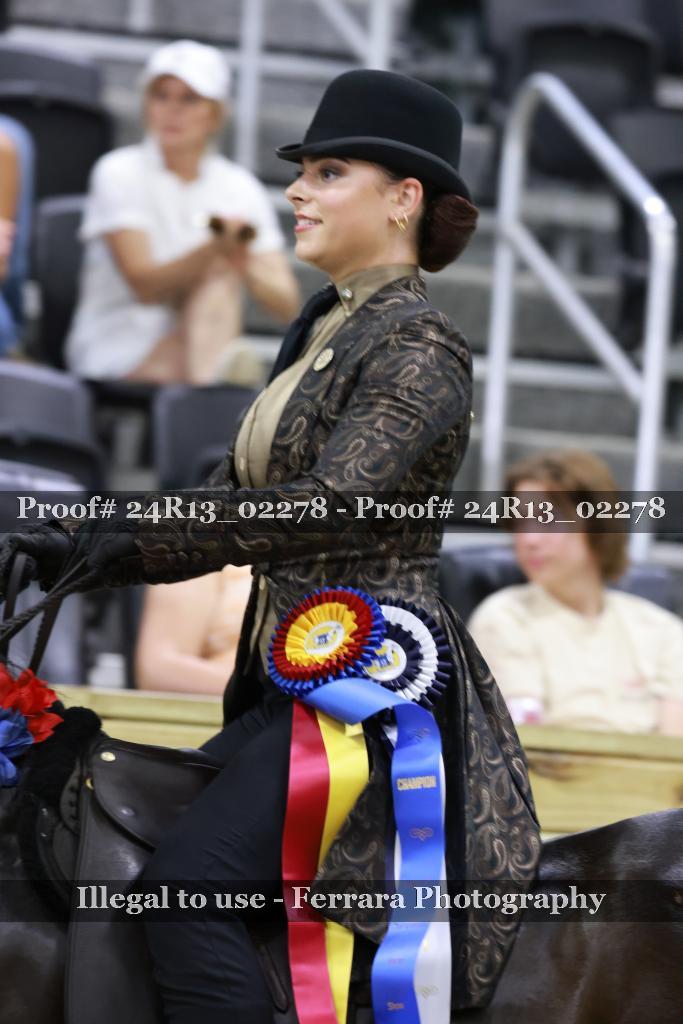Proof 24R13_02278