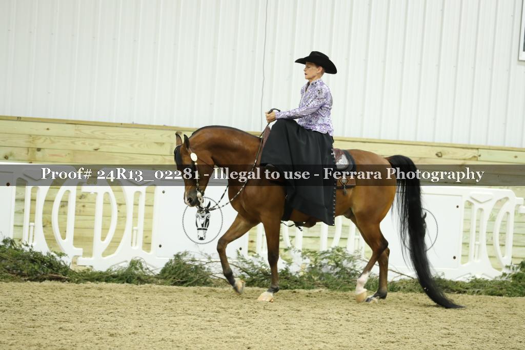 Proof 24R13_02281