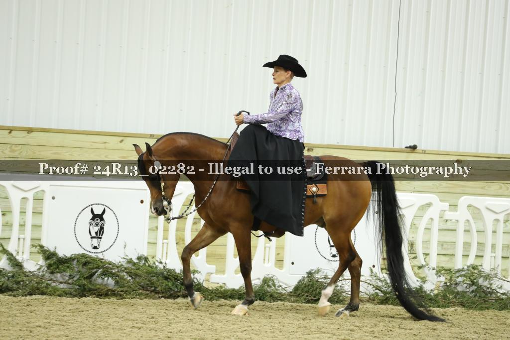 Proof 24R13_02282