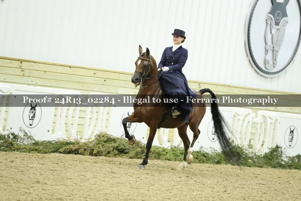 Proof 24R13_02284