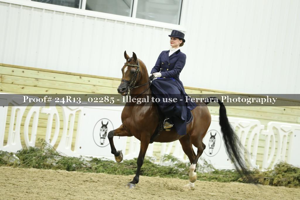 Proof 24R13_02285