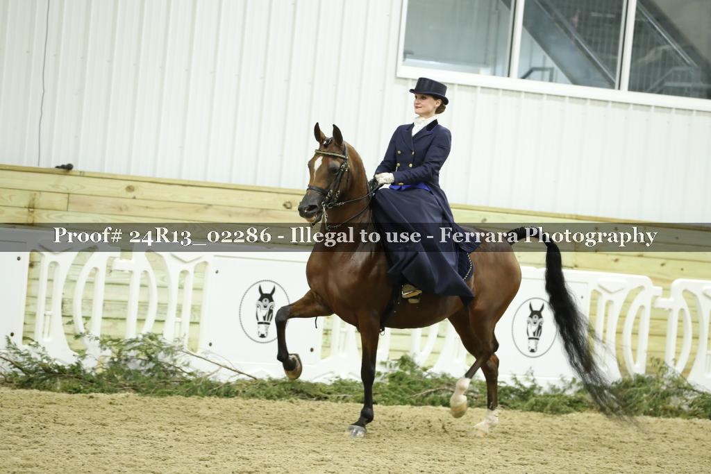 Proof 24R13_02286