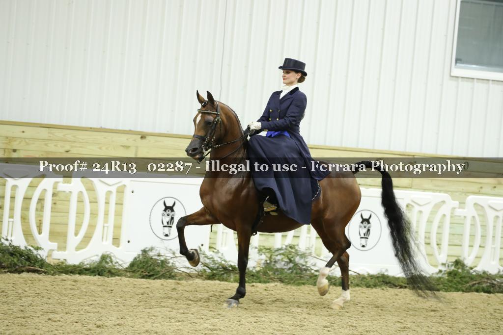 Proof 24R13_02287