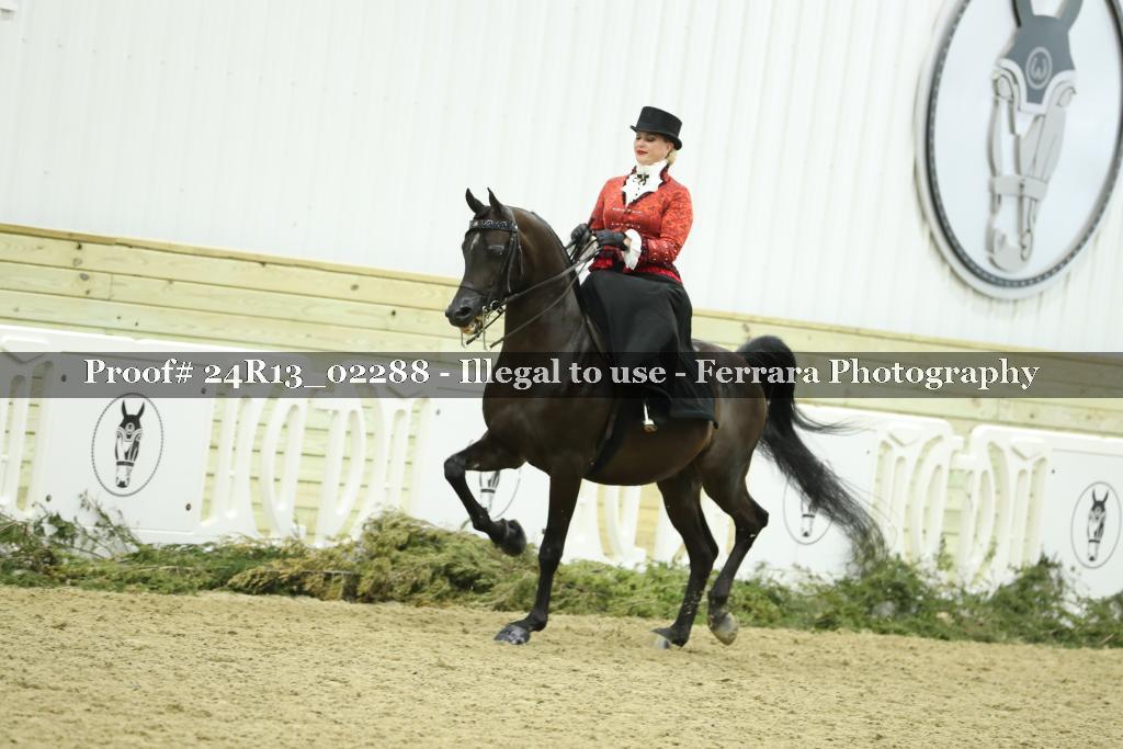 Proof 24R13_02288