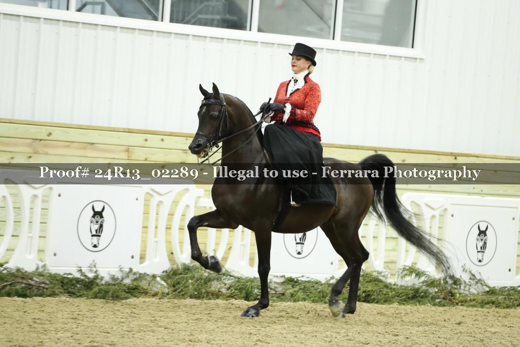 Proof 24R13_02289