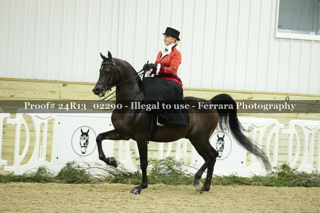 Proof 24R13_02290