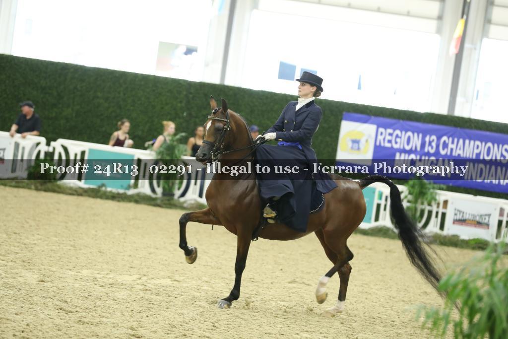 Proof 24R13_02291