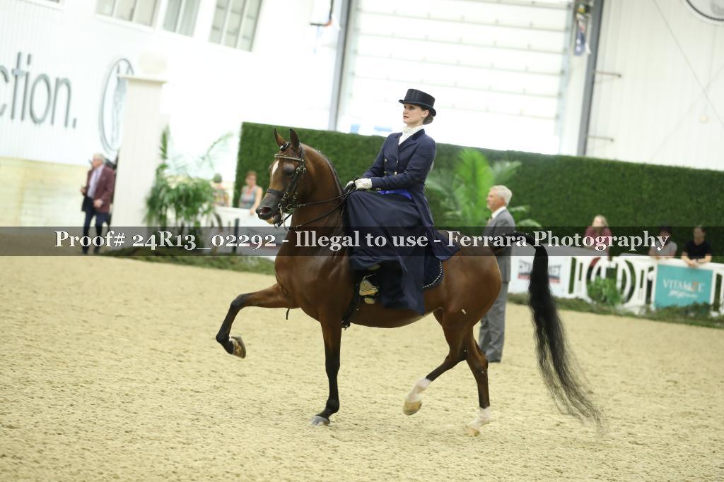 Proof 24R13_02292