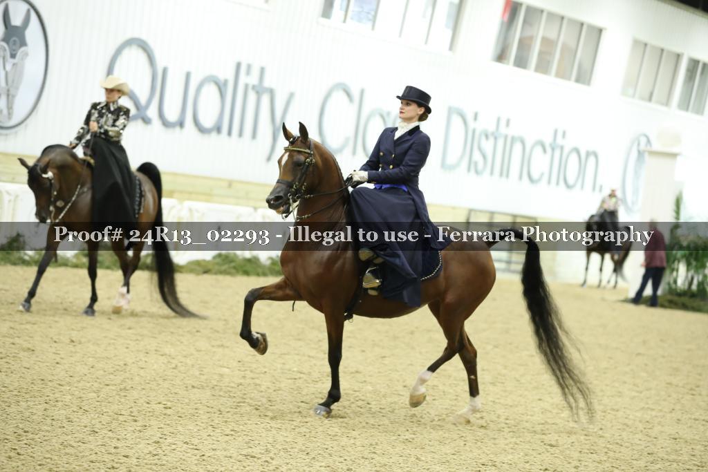 Proof 24R13_02293