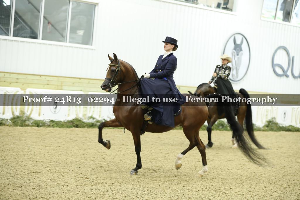 Proof 24R13_02294