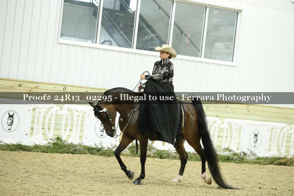 Proof 24R13_02295
