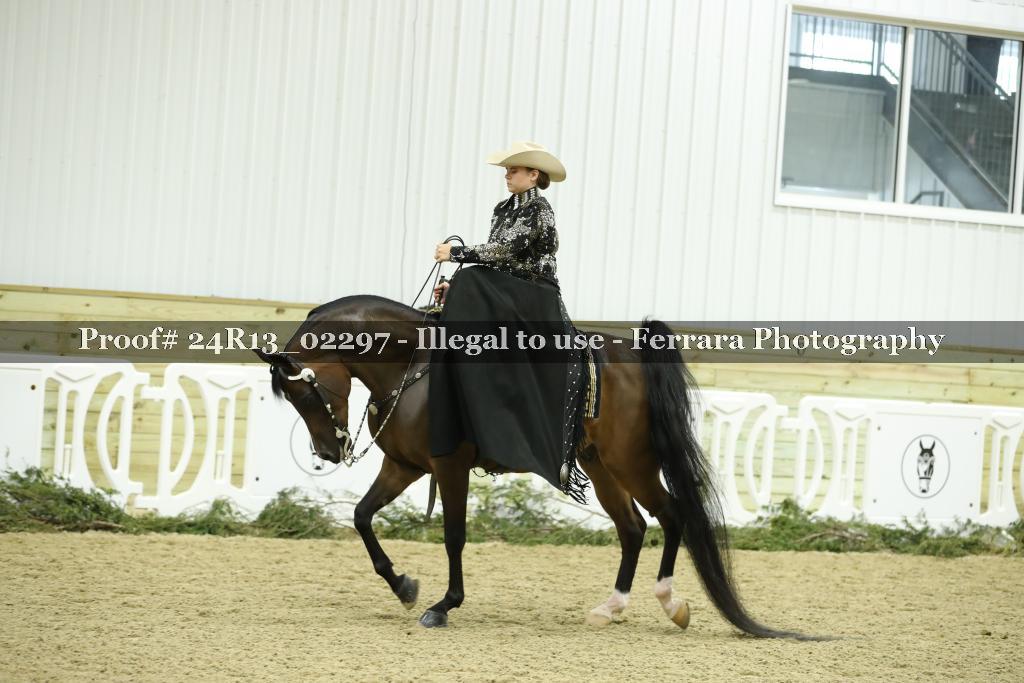 Proof 24R13_02297