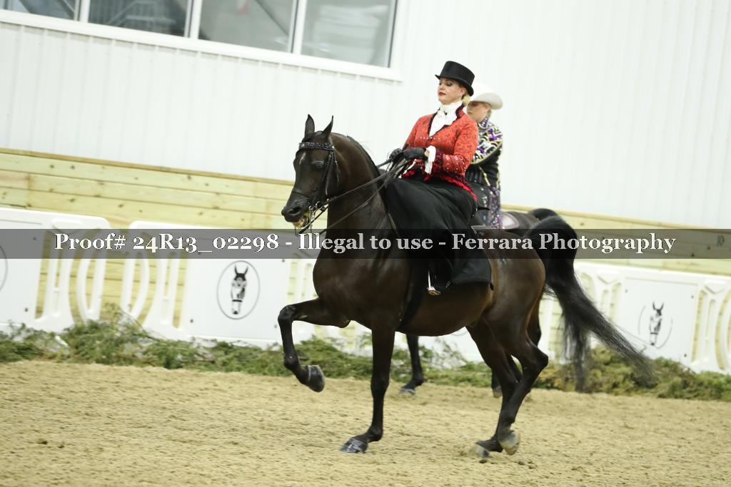 Proof 24R13_02298