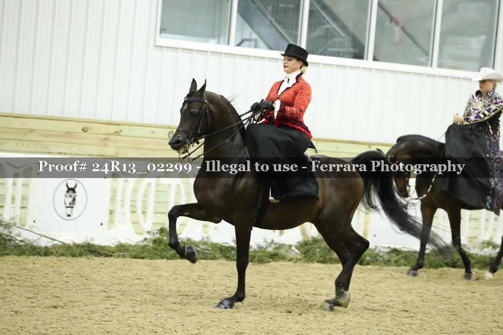 Proof 24R13_02299