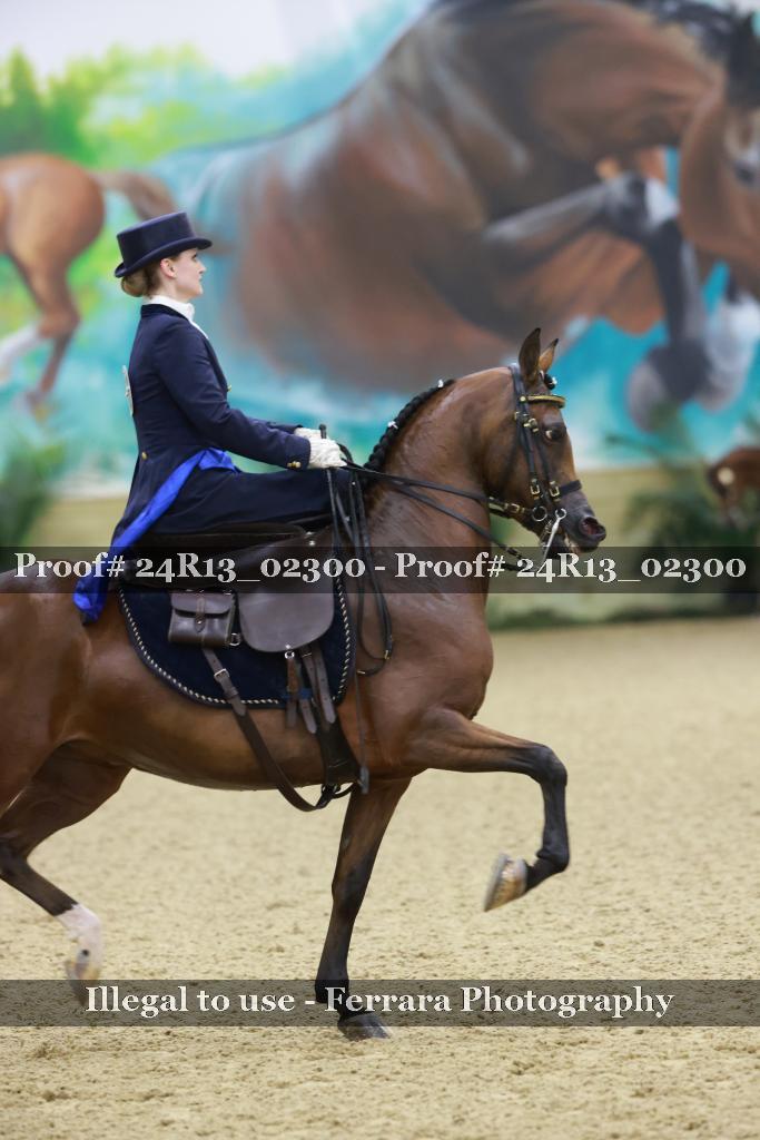 Proof 24R13_02300