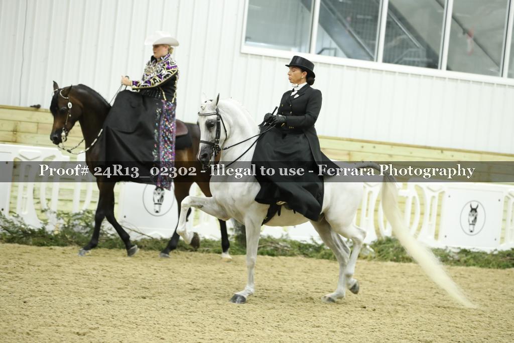 Proof 24R13_02302