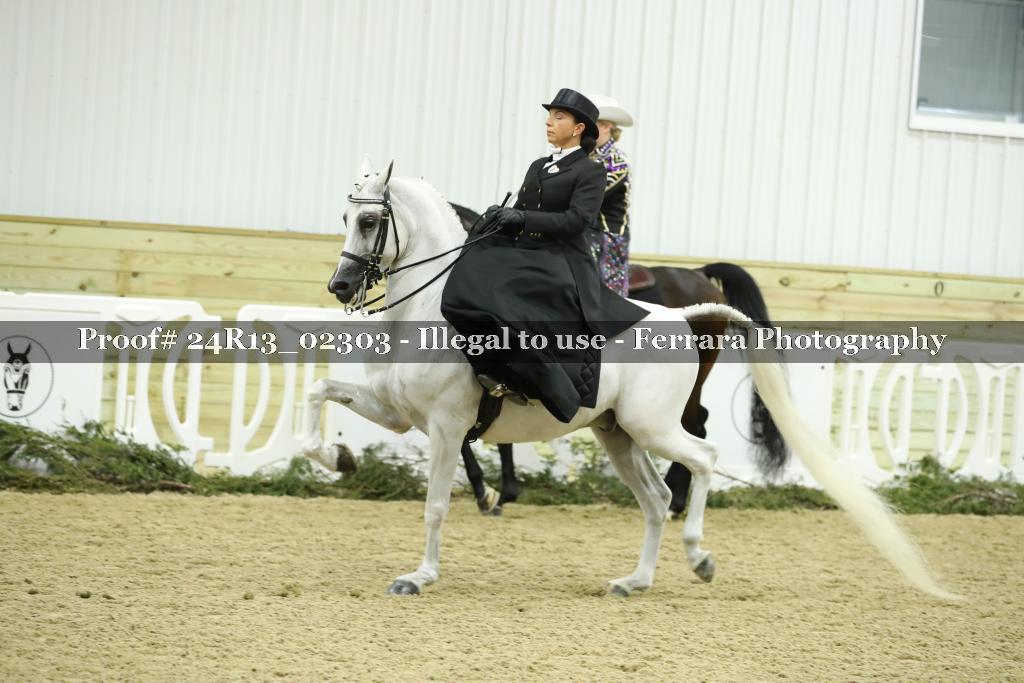 Proof 24R13_02303