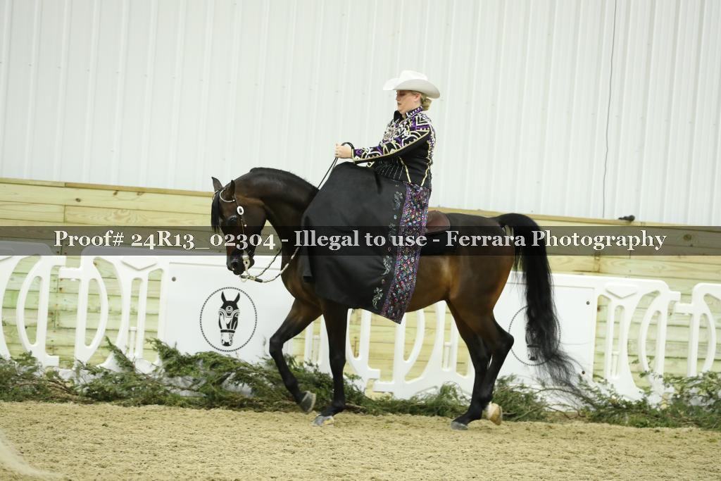 Proof 24R13_02304
