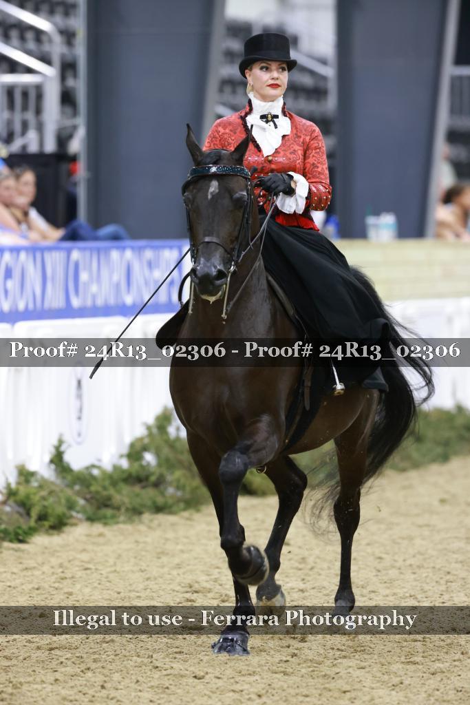 Proof 24R13_02306