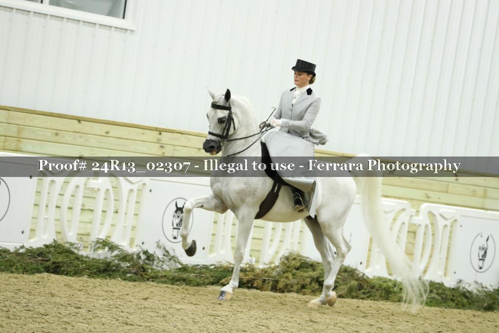Proof 24R13_02307