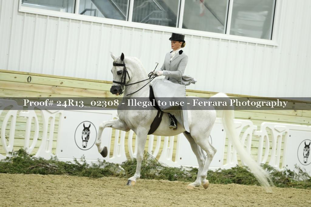 Proof 24R13_02308