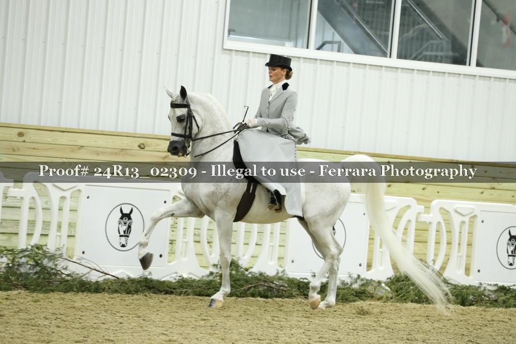 Proof 24R13_02309