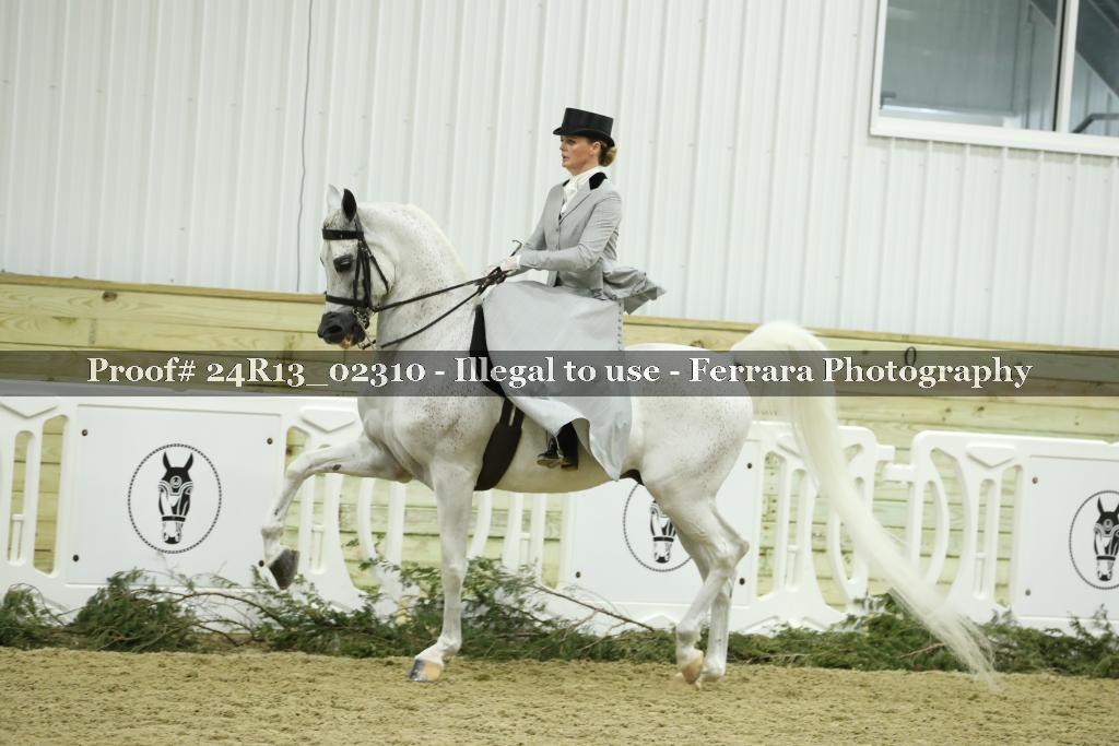 Proof 24R13_02310