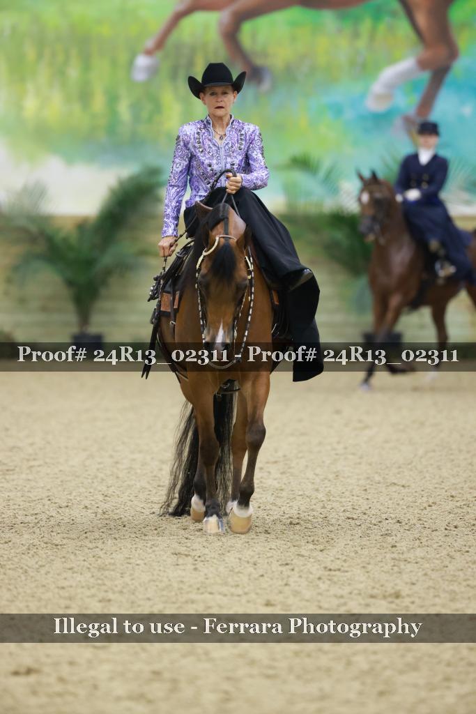 Proof 24R13_02311