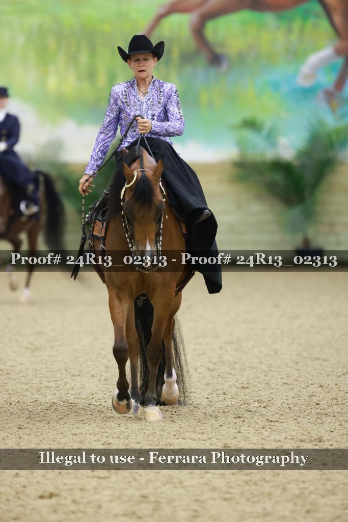 Proof 24R13_02313