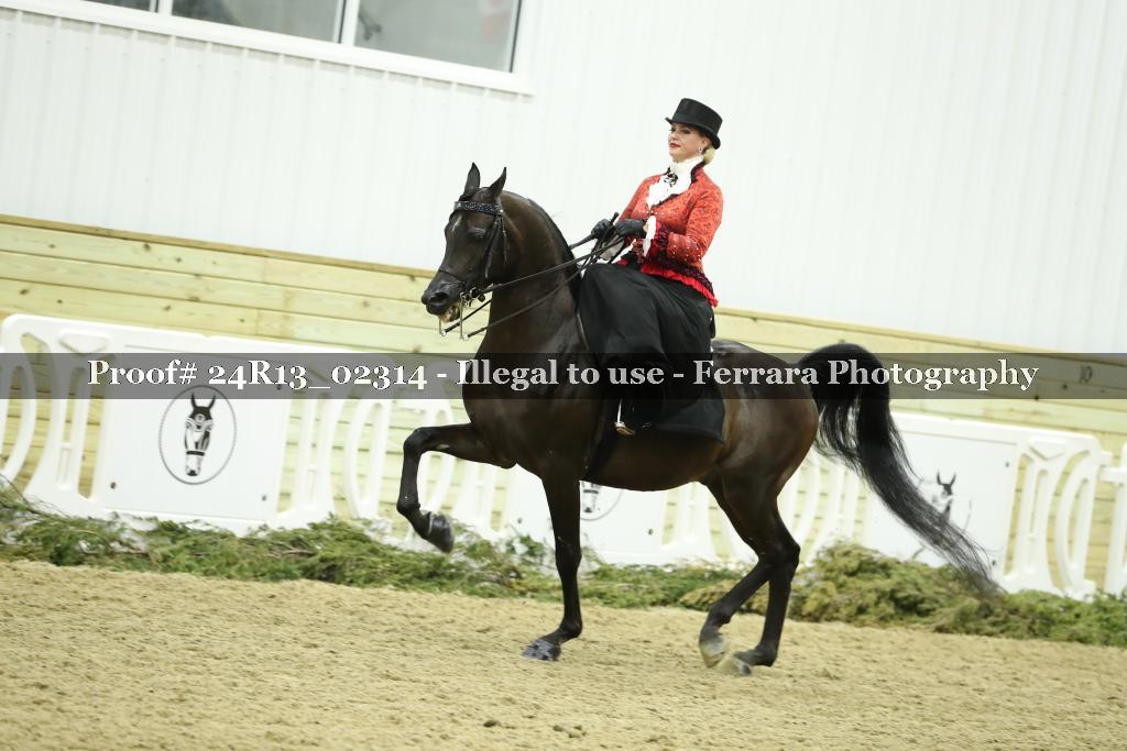 Proof 24R13_02314
