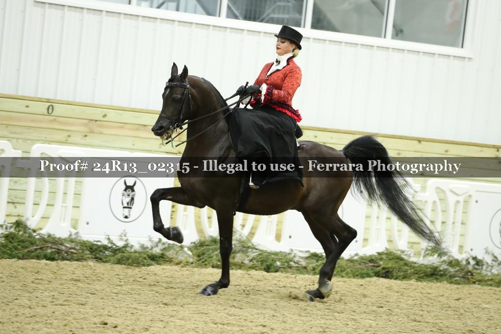 Proof 24R13_02315