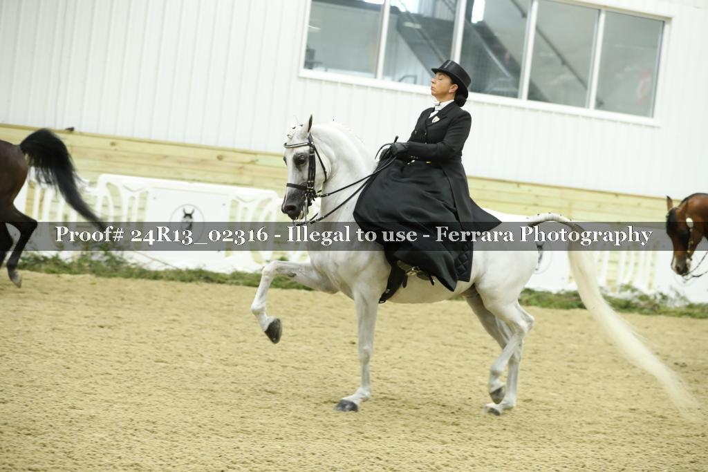 Proof 24R13_02316