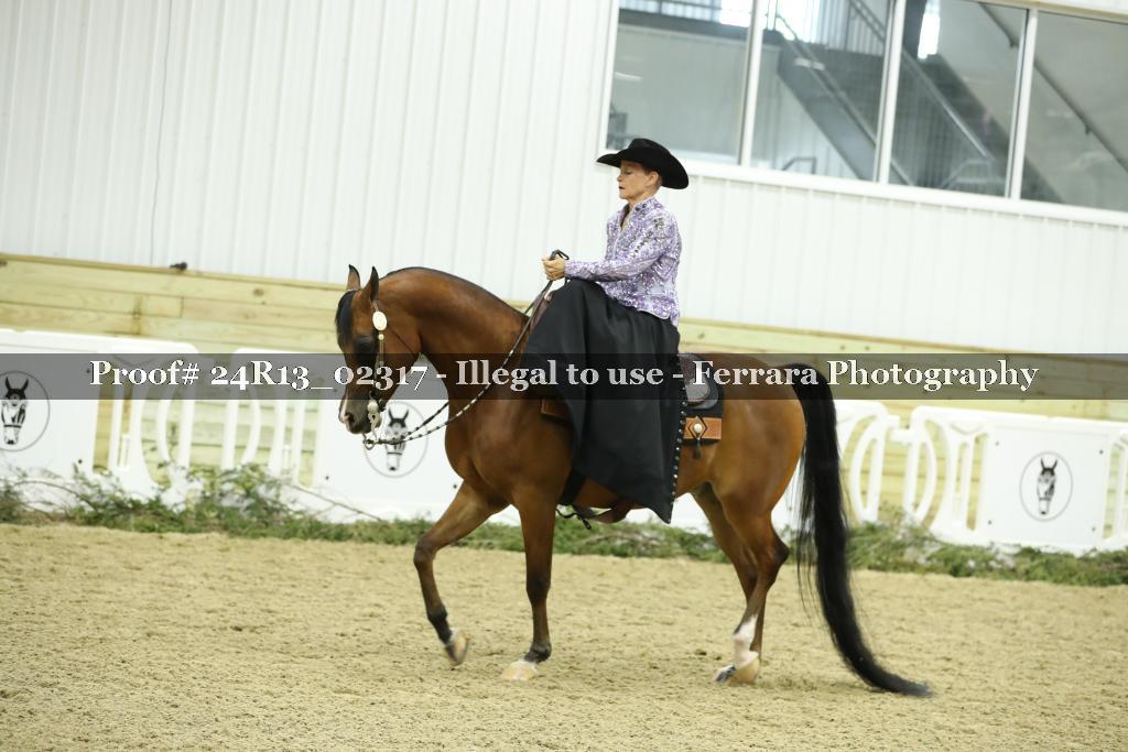 Proof 24R13_02317