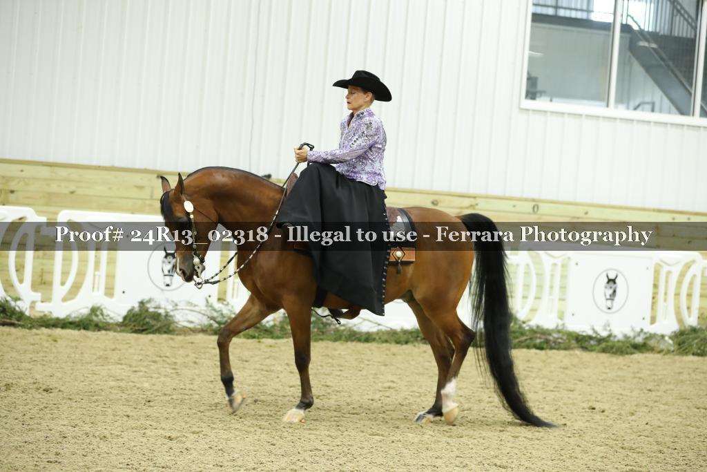 Proof 24R13_02318