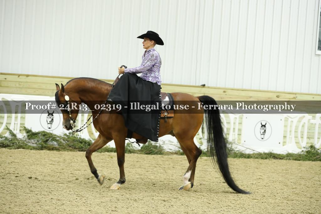 Proof 24R13_02319