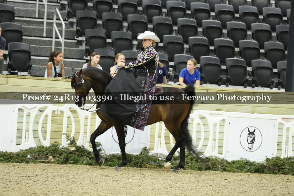 Proof 24R13_03390