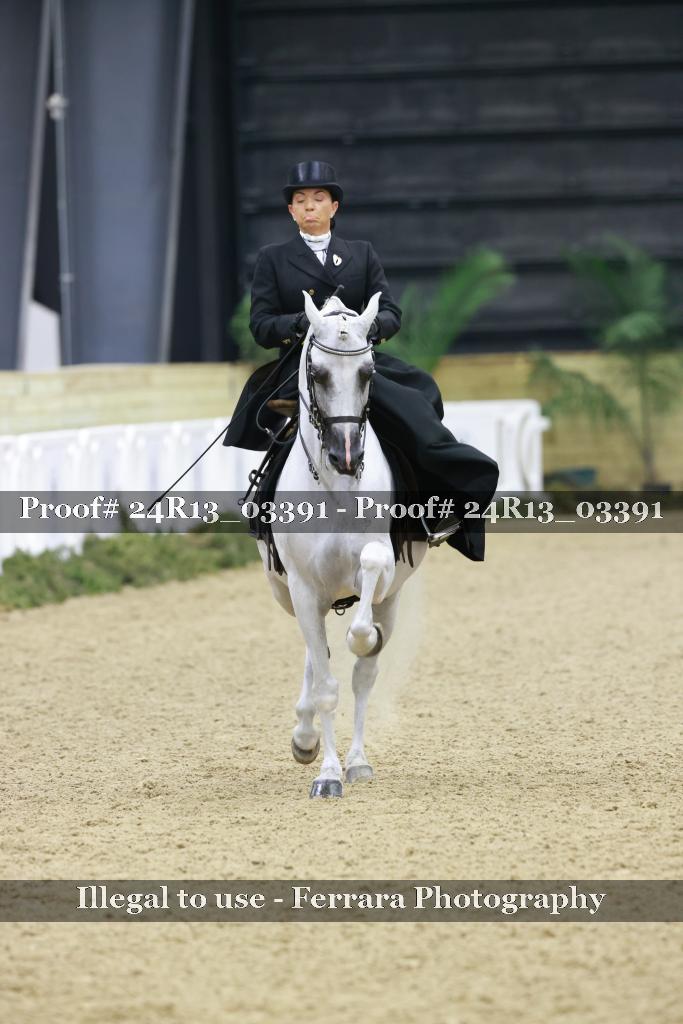 Proof 24R13_03391