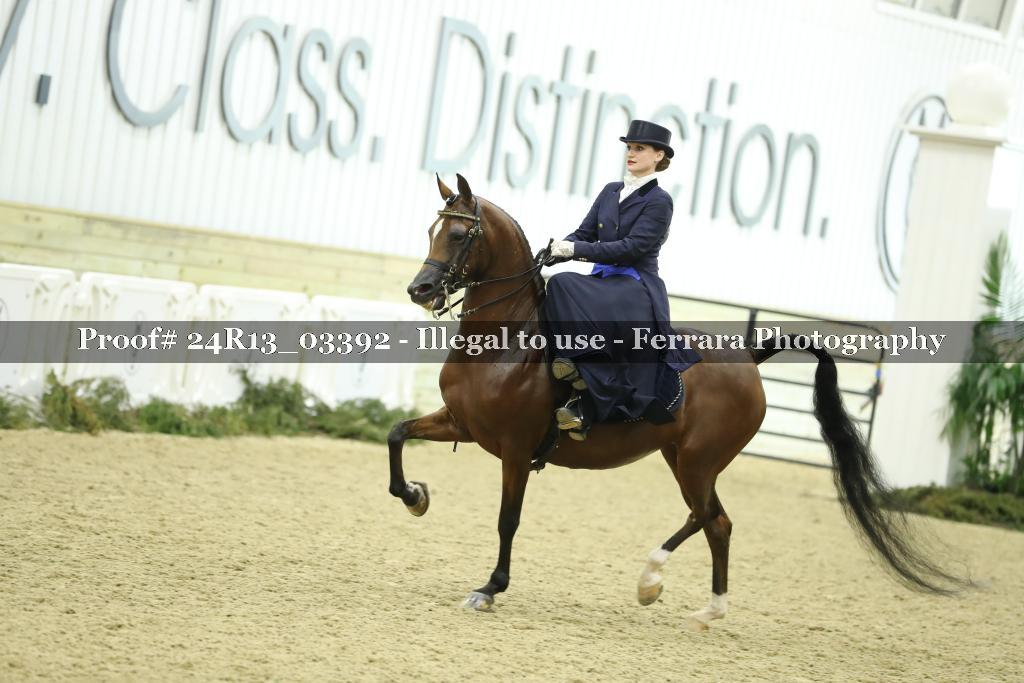 Proof 24R13_03392