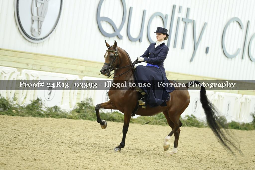 Proof 24R13_03393