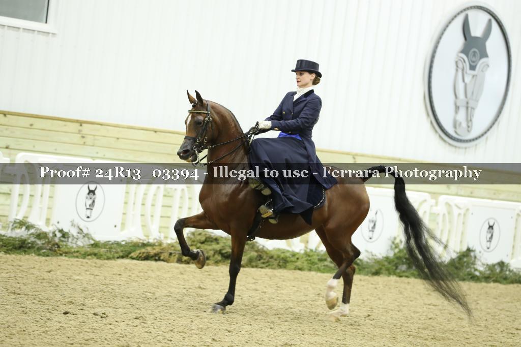 Proof 24R13_03394