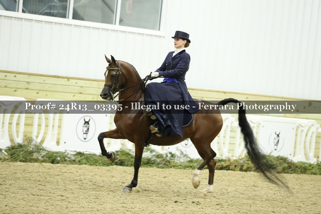 Proof 24R13_03395