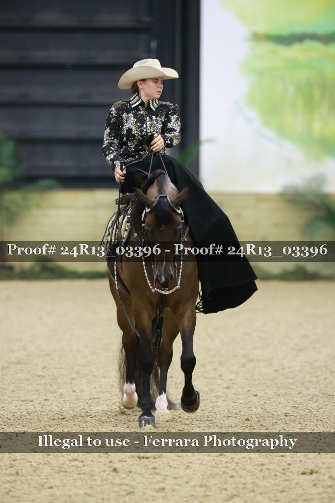 Proof 24R13_03396