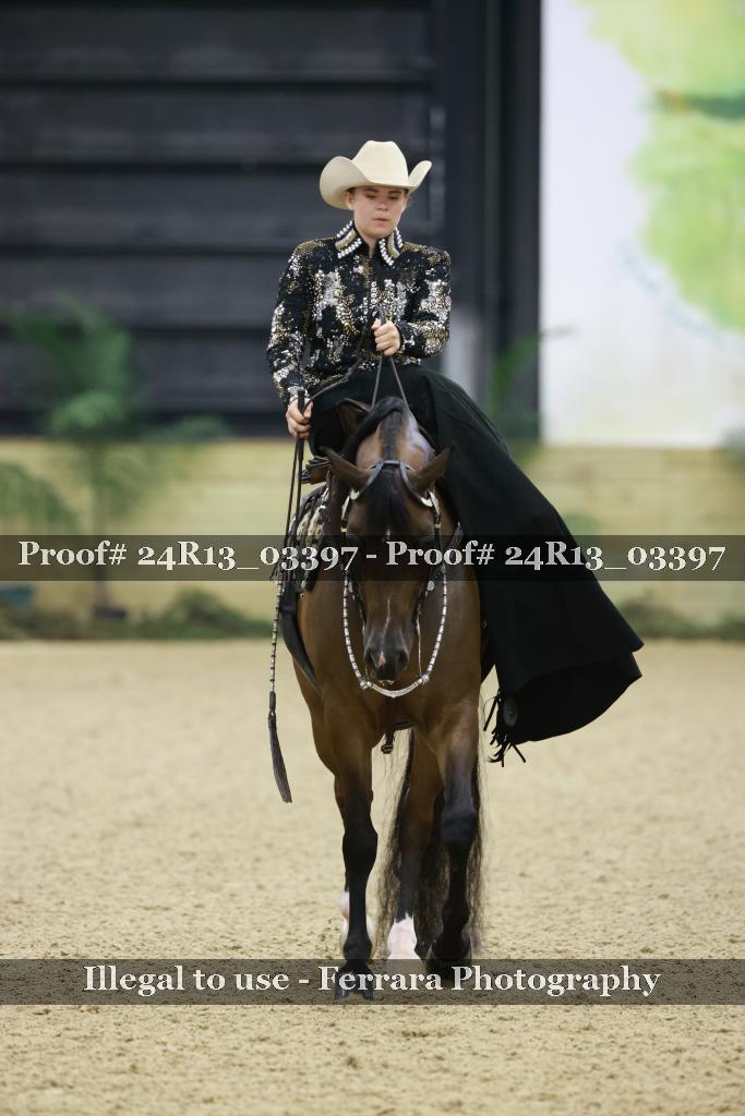 Proof 24R13_03397