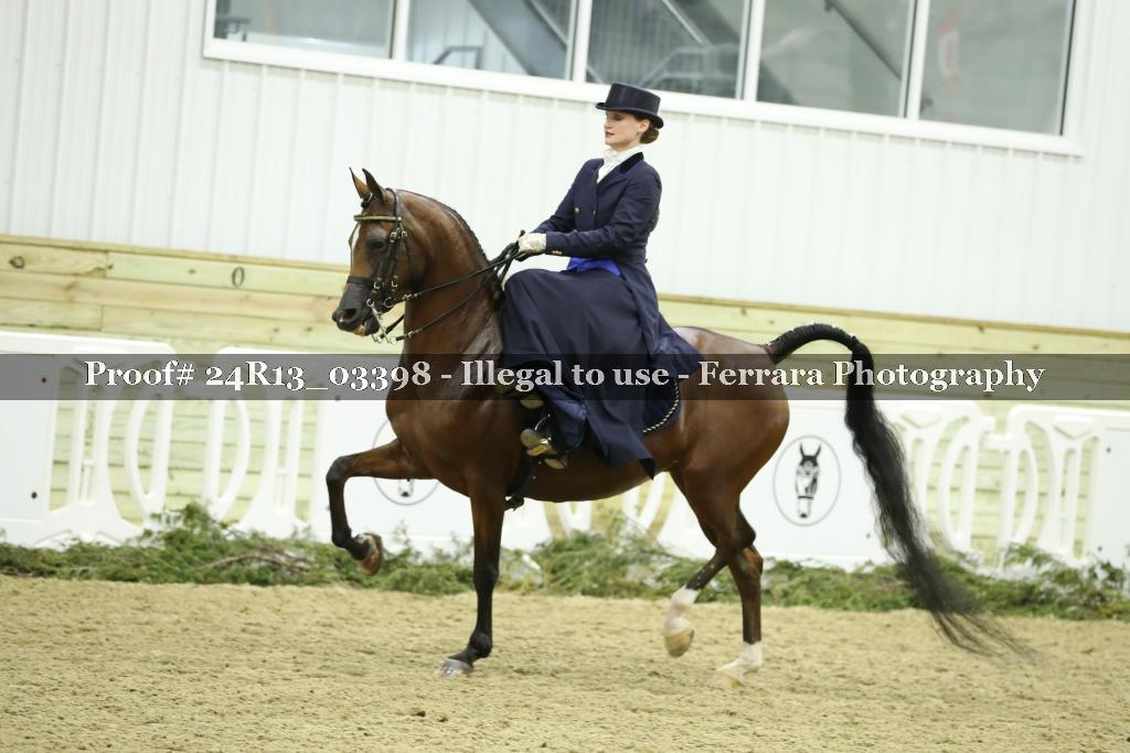 Proof 24R13_03398