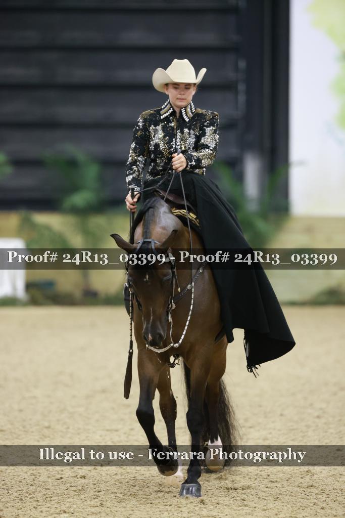 Proof 24R13_03399