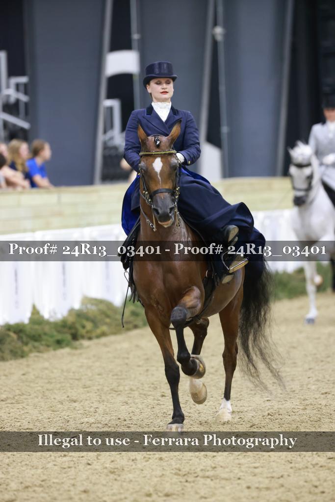 Proof 24R13_03401