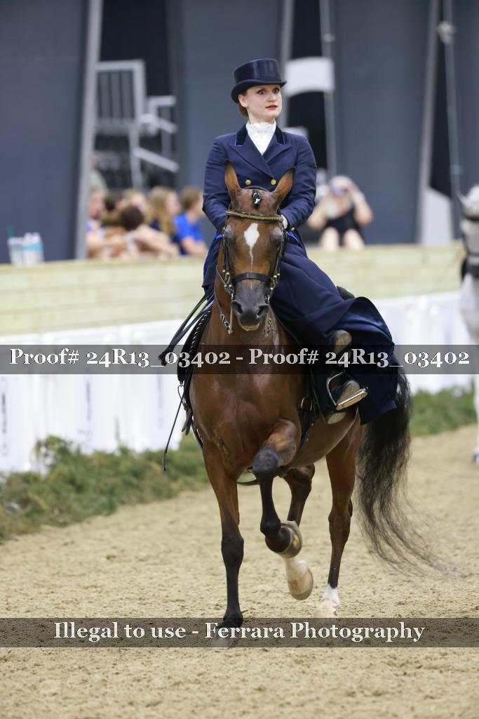 Proof 24R13_03402