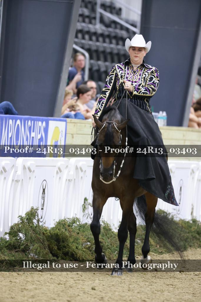 Proof 24R13_03403