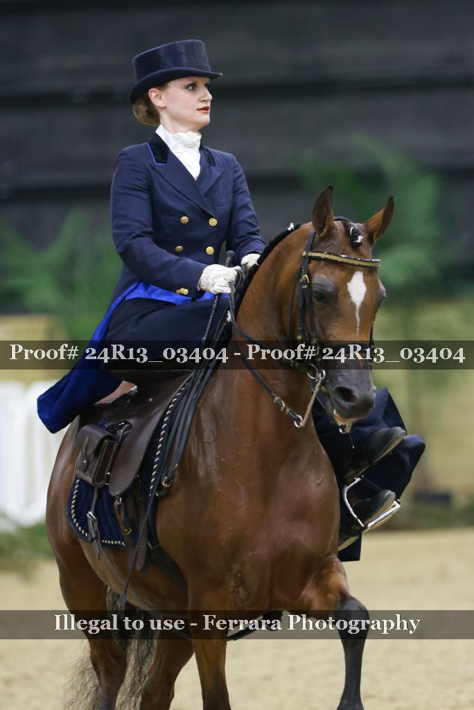 Proof 24R13_03404