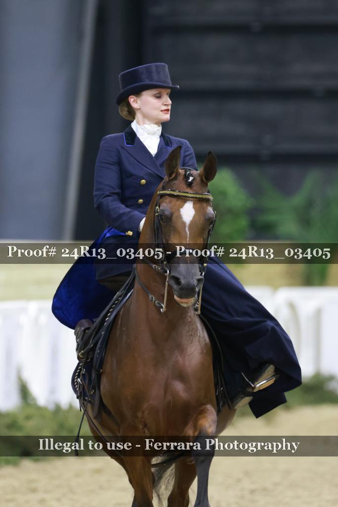Proof 24R13_03405
